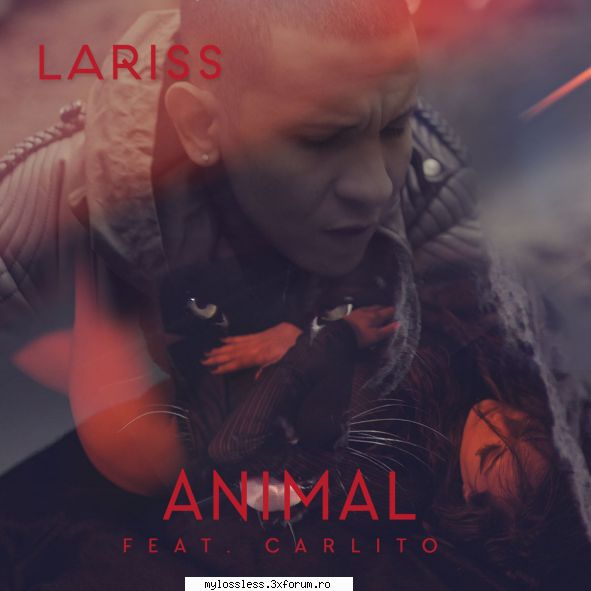 ...:::cele mai recente melodii format lariss feat. carlito animallink v2.0 beta (build 457) dester