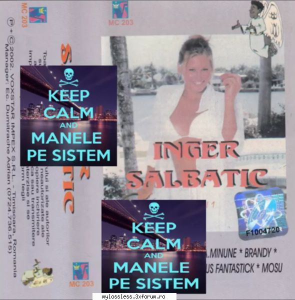 request albume, melodii format flac !:::... salutare tuturor are cineva albumul nger salbatic