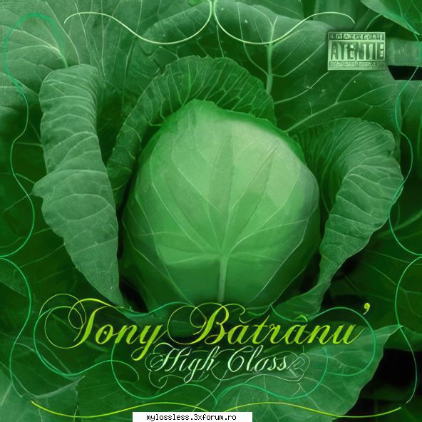 tony batranu high class (2010) flac aparent n-a luat linkul copertii, incerc iar