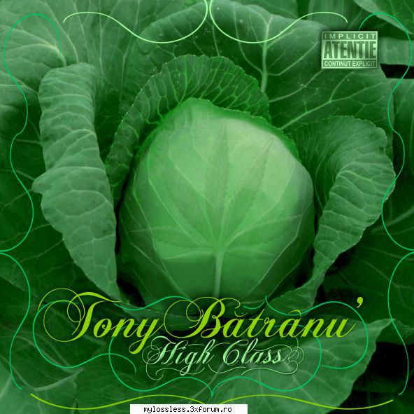 tony batranu high class (2010) flac :&nbsp; &nbsp; &nbsp; .&nbsp; &nbsp; &nbsp; &nbsp; prezint arta