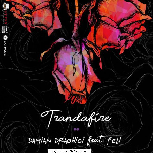 ...:::Cele mai recente melodii in format LOSSLESS:::... - kaname - @ Muzica/Albume in format Lossless [FLAC]-[ROMANEASCA]