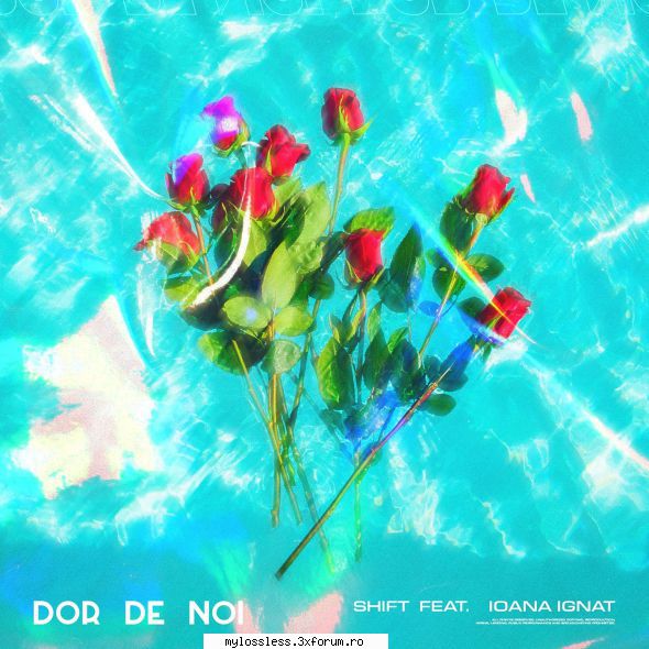 ...:::Cele mai recente melodii in format LOSSLESS:::... - kaname - @ Muzica/Albume in format Lossless [FLAC]-[ROMANEASCA]