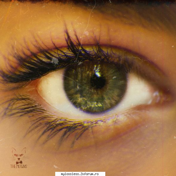 ...:::Cele mai recente melodii in format LOSSLESS:::... - Pitac - @ Muzica/Albume in format Lossless [FLAC]-[ROMANEASCA]