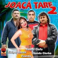 Joaca Tare Vol.2 2004 - Tracklist: 1 Sandu Ciorba*� - @ Muzica/Albume in format Lossless [FLAC]-[ROMANEASCA]