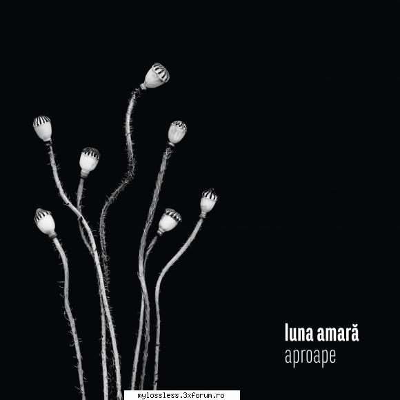Luna Amara - Aproape-CD-FLAC-2016-MiNT - kaname - @ Muzica/Albume in format Lossless [FLAC]-[ROMANEASCA]