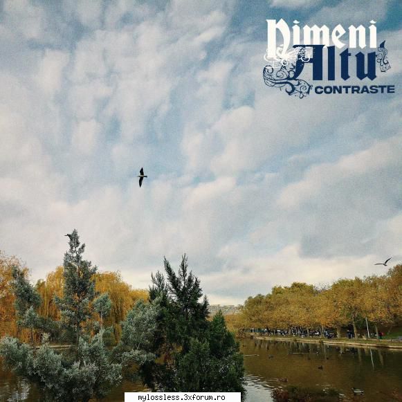 Nimeni Altu' - Contraste-WEB-FLAC-2025-MT - Lossless - @ Muzica/Albume in format Lossless [FLAC]-[ROMANEASCA]