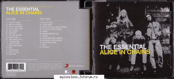 The Essential Alice In Chains - ev1006 - @ Muzica/Albume in format Lossless [FLAC]-[STRAINA]