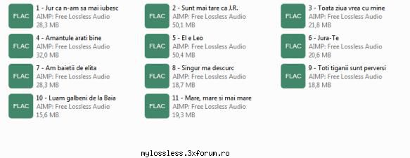 Various Artists - Chef la Leo din Strehaia album FLAC - jmenaru21 - @ Muzica/Albume in format Lossless [FLAC]-[ROMANEASCA]