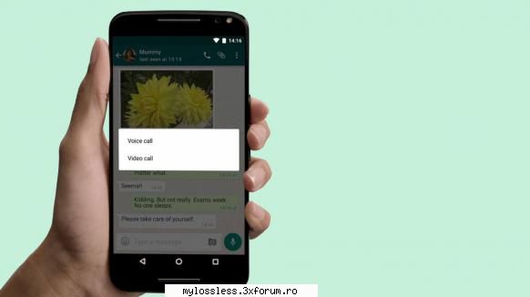 WhatsApp a introdus functia de apelare video! - Lossless - @ Suport Useri / Forum (Informatii Utile) / Reguli Generale