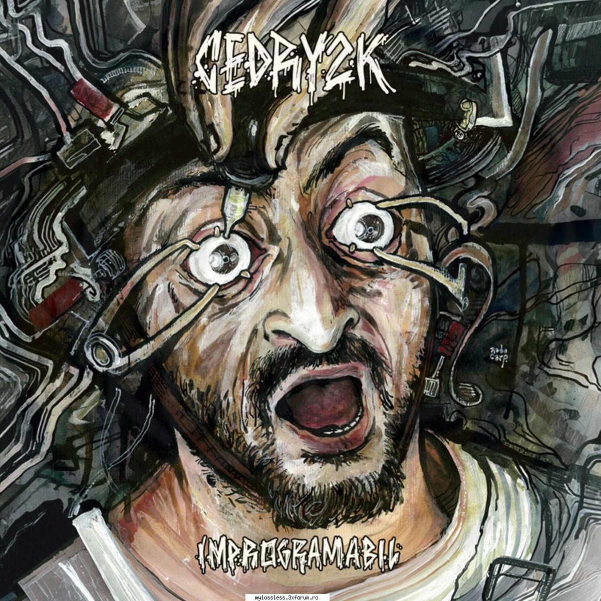 cedry2k - Improgramabil-CD-FLAC-2026-MiNT - FlintTheCool - @ Muzica/Albume in format Lossless [FLAC]-[ROMANEASCA]